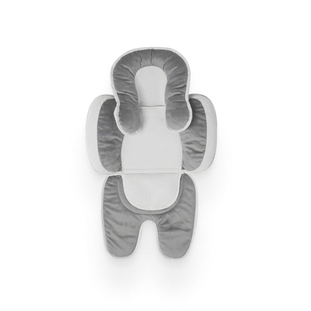 Infant To Toddler Head And Body Support