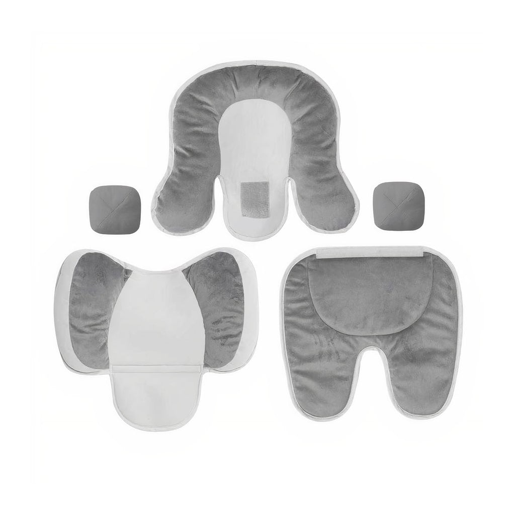 Infant To Toddler Head And Body Support